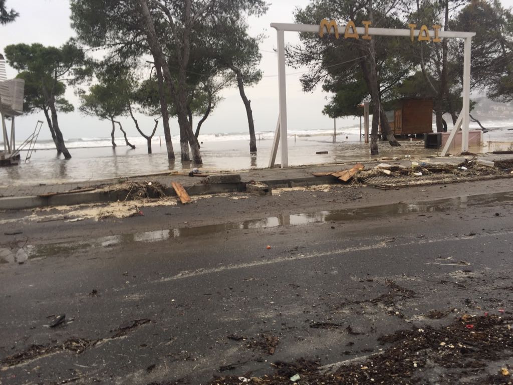 Tërbohet era në Lezhë, Durrës, Vlorë e Fier, shkul pishat në bregdeti dhe bllokon lundrimin (Foto+Video)