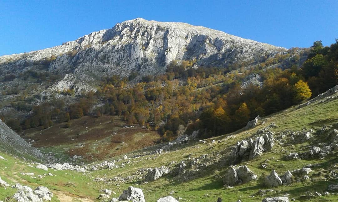 Biza e braktisur e Martaneshit, aty ku fshihej hoteli kurativ për Beqir Ballukun