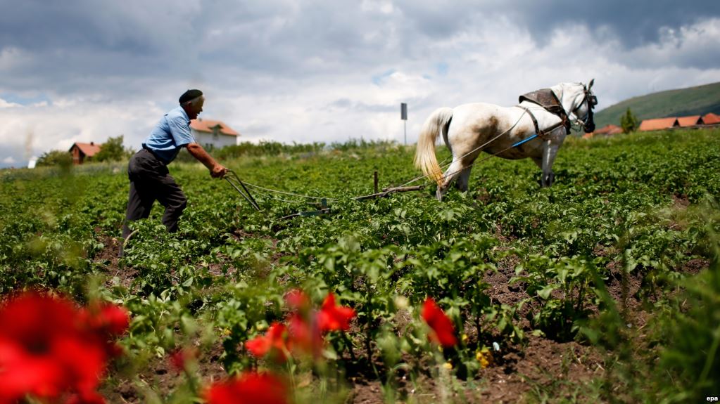 Ministria e Bujqësisë dhe Zhvillimit Rural rihap thirrjet për aplikime të Skemës Kombëtare për masat mbështetese nr. 44, 45