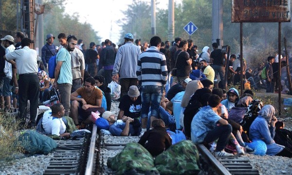 Shqipëria urë kalimi për emigrantët ilegalë, Mali i Zi vendos gardhin në kufi