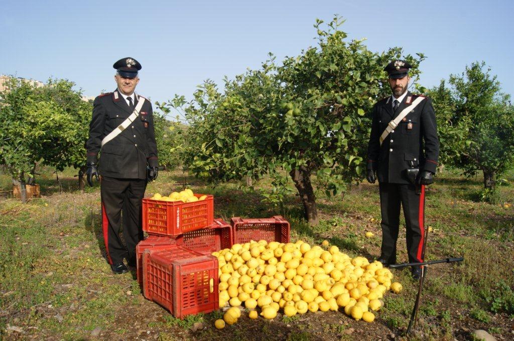 Si lindi mafia në Siçili… si limonët sollën themelimin e ‘Cosa Nostra’-s