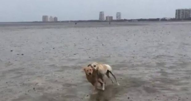 “Irma” zhduku oqeanin në Bahama?! Po tani ku është oqeani (Foto)