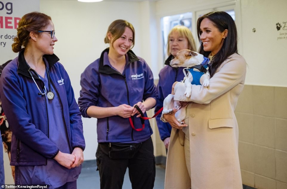 Meghan Markle me fustan “low cost”, kushton vetëm 28 euro! (Foto)