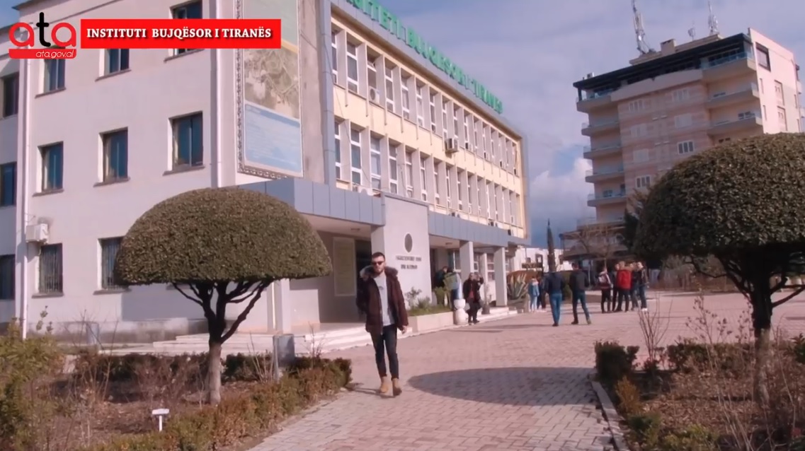 VIDEO/ Procesi mësimor në fakultetet e Tiranës zhvillohet normalisht, flasin studentët: Kanë ardhur të gjithë në auditore