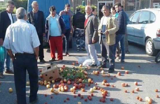 “Shteti nuk mbledh mollë dhe kumbulla”! Rama i përgjigjet qytetarit pas kësaj që i tha