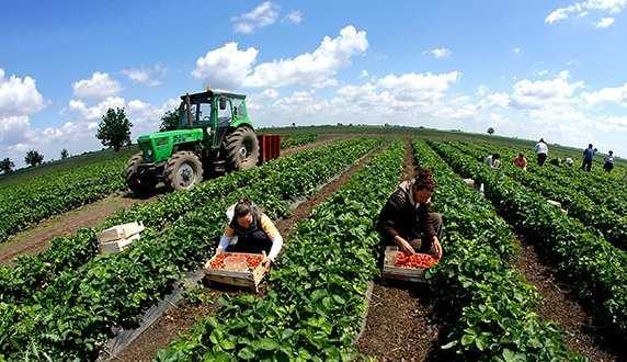 Qeveria italiane: Dekret i ri për punësimin e shqiptarëve në Itali