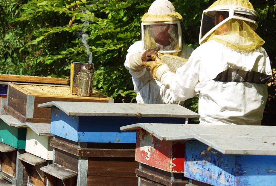 Bletërritësit mblidhen në panairin e bletëve: Ndalni pesticidet!