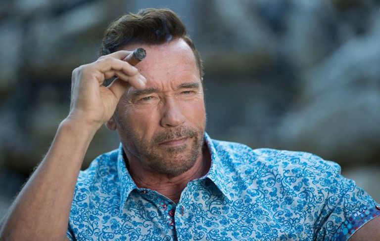 Arnold Schwarzenegger habit botën e artit me këtë veprim (Foto)