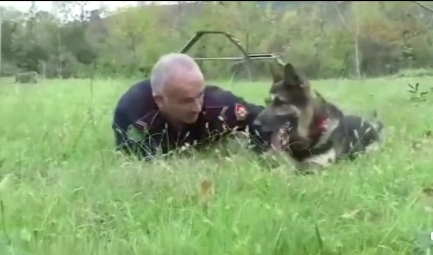 VIDEO/ Zbuloi njerëz nën rrënoja nga tërmeti tronditës: Shihni si stërvitet “Brandi”, qeni hero i Policisë Shqiptare!