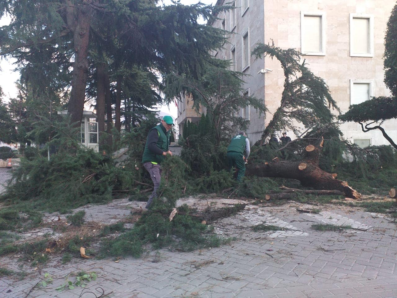 Na pret një Verë e nxehtë! Temperatura të larta e erë e fortë, stuhi Sahariane në Tiranë