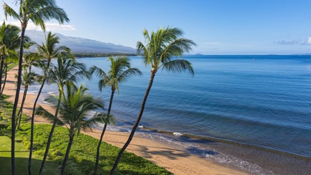 Hawaii ofron bileta vajtje-ardhje falas për punëtorët që duan të jetojnë dhe punojnë atje