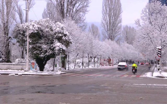 Festa e Shën Valentinit, kryeministri Rama publikon videon që po ‘thyen’ rrjetin: I rrallë fare…