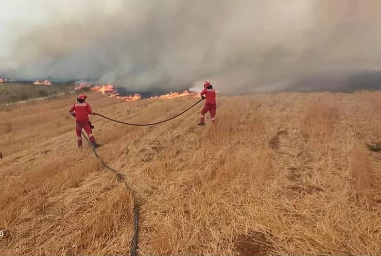 Gjendja e zjarreve, Rama: U shmang e keqja më e madhe në Selenicë, në Llogara po largojmë flakët