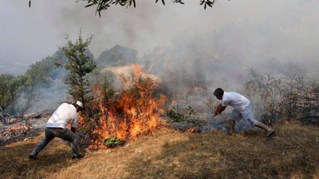 Përkeqësohet situata në Vlorë, flakët i afrohen Parkut të Llogarasë