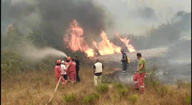 Peleshi: Parandalohet katastrofa në zonën e lumit të Vlorës, ndërhyhet dhe nga ajri për shuarjen e zjarreve