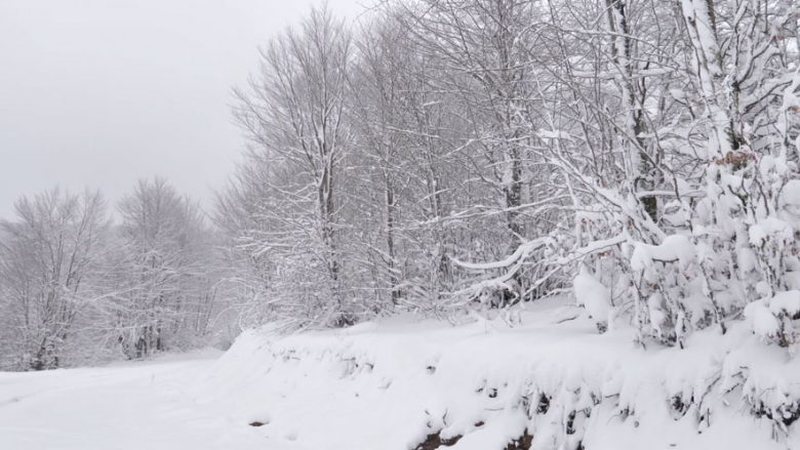 Ja sa pritet të zgjasë i ftohti polar në Shqipëri