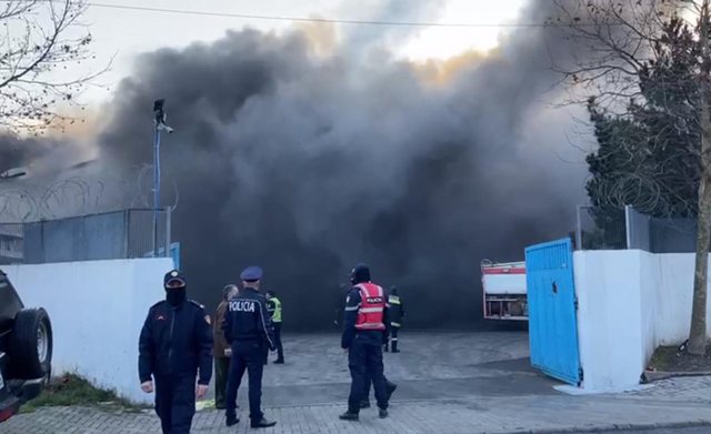 Errësohet gjithë qielli! Shpërthen në flakë fabrika e përpunimit të peshkut në Lezhë, policia bllokon autostradën