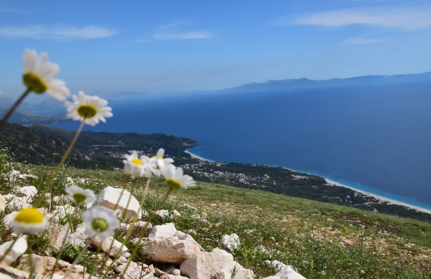 I vetmi ligj i Berishës që  Rama e zbaton me “korrektësi”! Qeveria jep sërish tokë në bregdetin e Jugut për fshat turistik me qira 1 euro: Ja “investitori strategjik” që e përfiton