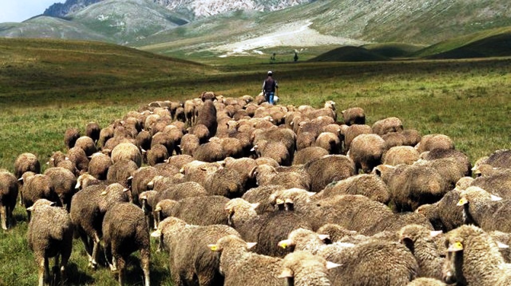 Ndalimi i emigrimit rural! Si po e zbaton Turqia atë që duhet ta kopjojë Shqipëria