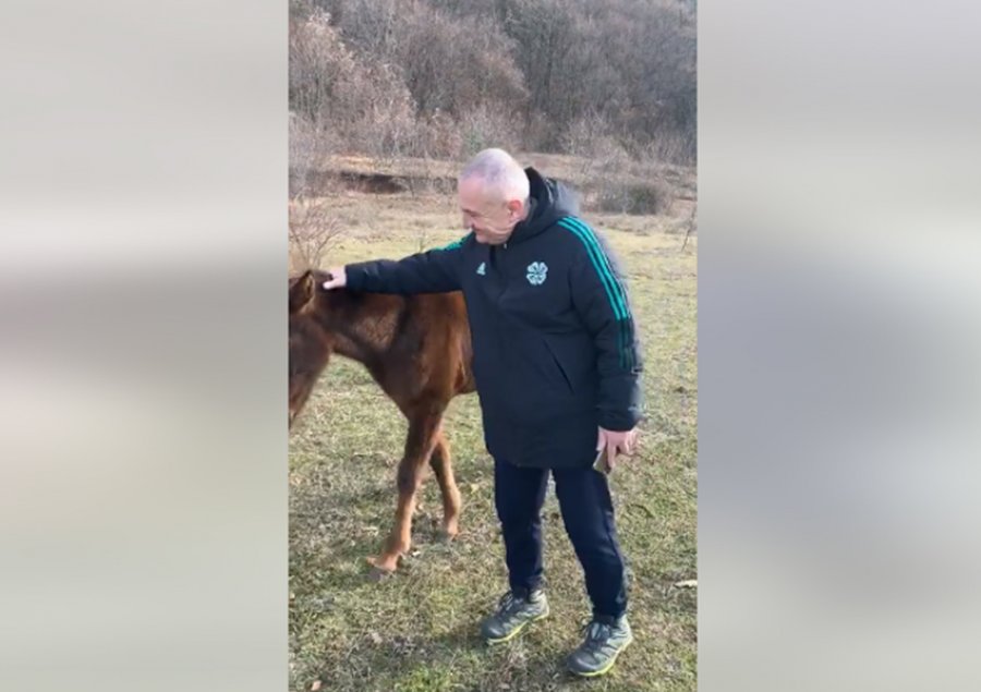 Fotolajm/ I’u përshëndetje vëllai  i “politikanëve të këtij vendi…babai i mushkës!  “Me simbolin e punës, fuqisë dhe fisnikërisë ju uroj një ditë të mbarë!