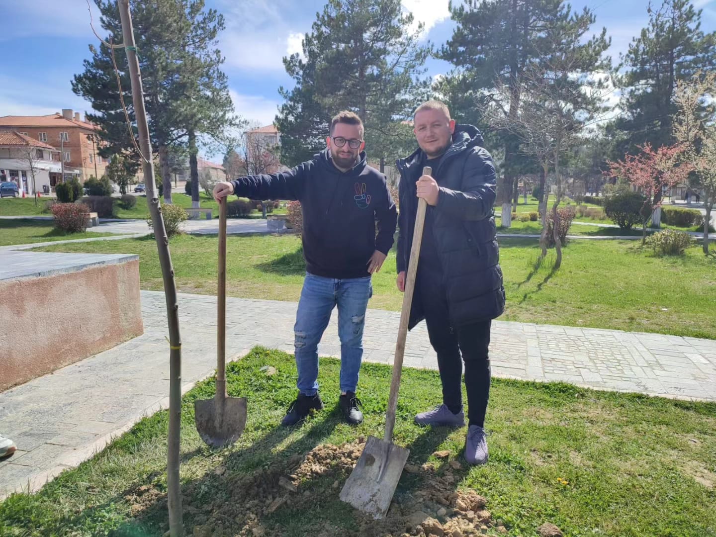 Kolonja e para për gjelbërim, mbillen pemë në hyrje të qytetit