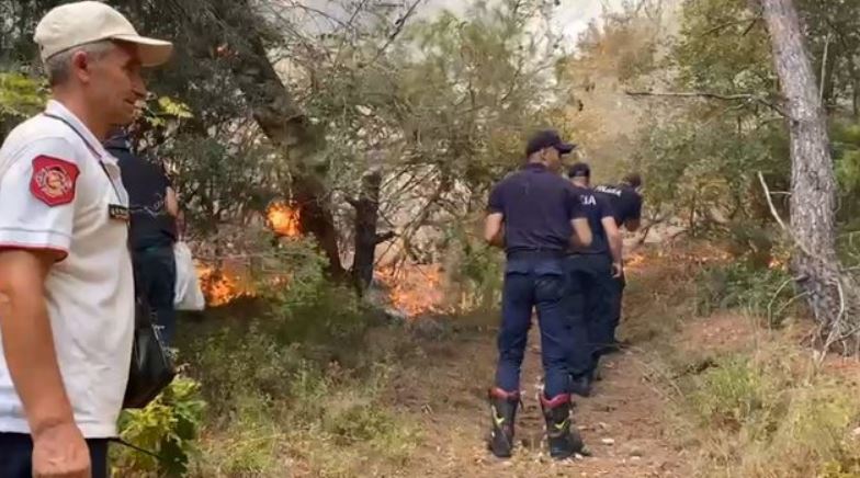 Pas Vlorës, edhe Fieri ‘mes flakëve’. Nisin zjarret në Shqipëri!