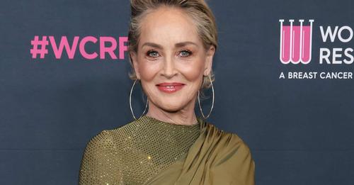 “Je nëna e fëmijëve të mi”! Horror për aktoren Sharon Stone, përndiqet prej vitesh nga veterani i ushtrisë