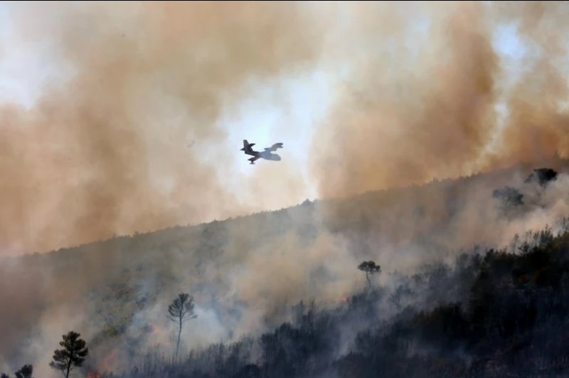 Zjarret kërcënojnë Athinën, mijëra të evakuuar, digjen dhjetëra banesa! Greqia kërkon ndihmë ndërkombëtare! Italia dërgon avionin Canadair, Franca helikopter Puma