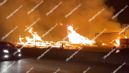 VIDEO/ Zjarr i përmasave të mëdha në një punishte paletash në aksin Lushnjë-Rrogozhinë!