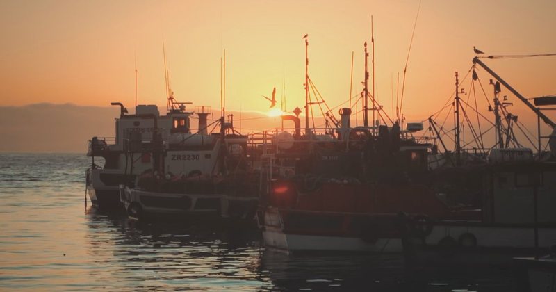 Mbetjet nga Metalurgjiku në Azi/ Anijet fikën sinjalin në det, MTM: E çuam çështjen në prokurori