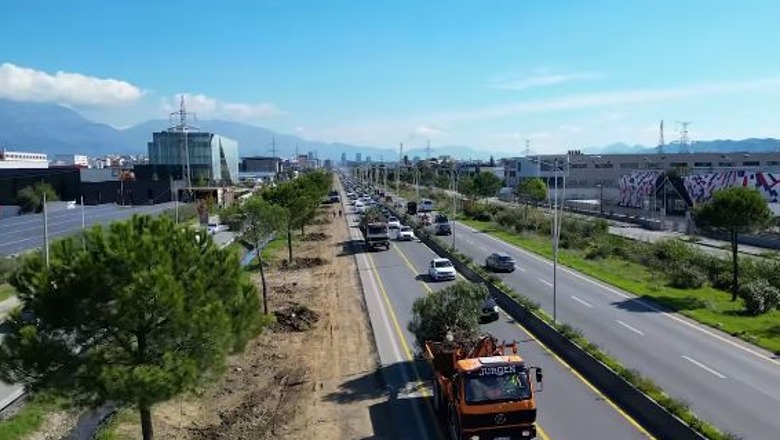 Të gjitha pemët e zhvendosura nga autostrada Tiranë-Durrës do të mbillen në Parkun e Liqenit dhe pika të tjera